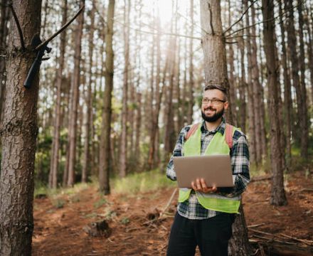 How Professional Tree Surgeons Maintain Healthy Landscapes
