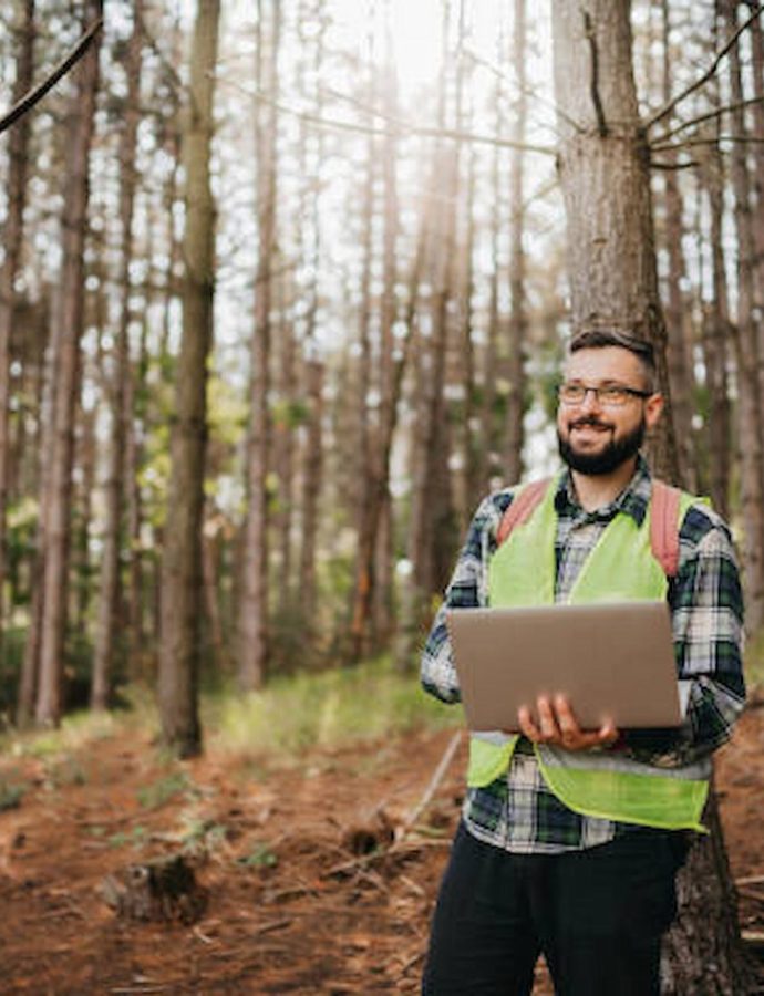 How Professional Tree Surgeons Maintain Healthy Landscapes